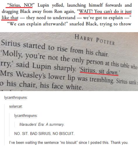 Sirius, sit down Wolfstar Imagines, Remus Letter To Sirius Atyd, Remus Lupin Quotes Atyd, Books Remus Lupin Would Read, Sirius Remus, Harry Potter Sirius, Wolfstar Memes, Quotes Movie, Glume Harry Potter