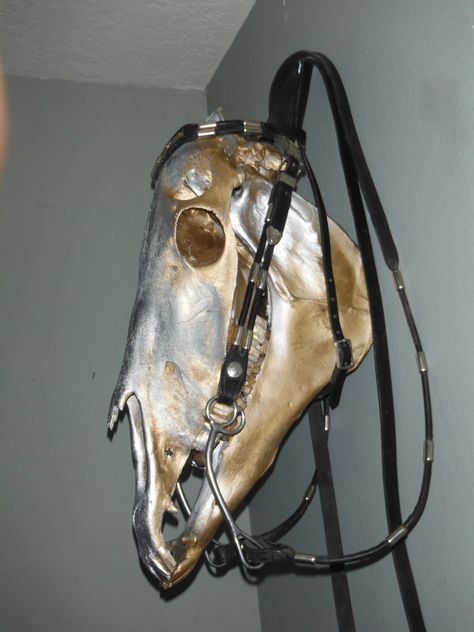 I found an old horse skull, cleaned it up, painted it, and put an old bridle on it Horse Skull Painting, Painted Horse Skull, Creepy Taxidermy, Taxidermy Decor, Horse Skull, Vulture Culture, Gold Horse, Bone Art, Skull Painting