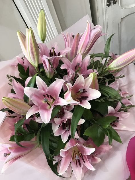 Pink oriental lily bouquet  Floral gift  Hand tied bouquet Asiatic Lily, Asiatic Lilies, Lily Bouquet, Hand Tied Bouquet, Gifted Hands, Floral Gifts, Lily, Plants, Floral