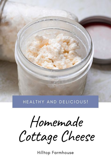 Learn how to make creamy and delicious homemade cottage right here! This is an easy to follow tutorial with all the info and details you need! It’s so much cheaper to make your own cottage cheese rather than purchasing one carton at a time. Cottage Cheese Homemade, Cottage Cheese Recipe, Homemade Cottage Cheese, Cheese Recipes Homemade, Cheese Making Recipes, Queso Cottage, Cheese At Home, Goat Milk Recipes, Cheese Homemade