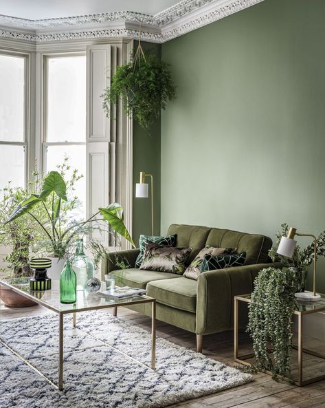 Green Couch Green Wall, Olive Couch, Study Lounge, Extension Kitchen, Green Sofa Living, Green Walls Living Room, Sage Green Living Room, Green Sofa Living Room, Green Living Room Decor