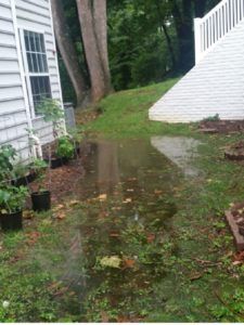 These are some of the most common landscape drainage problems and how you can solve them. Drainage Solutions Landscaping, Rock Drainage, Dry Riverbed Landscaping, Landscape Drainage, Backyard Drainage, Cottagecore Living, Yard Drainage, Cozy Cottagecore, Shade Grass