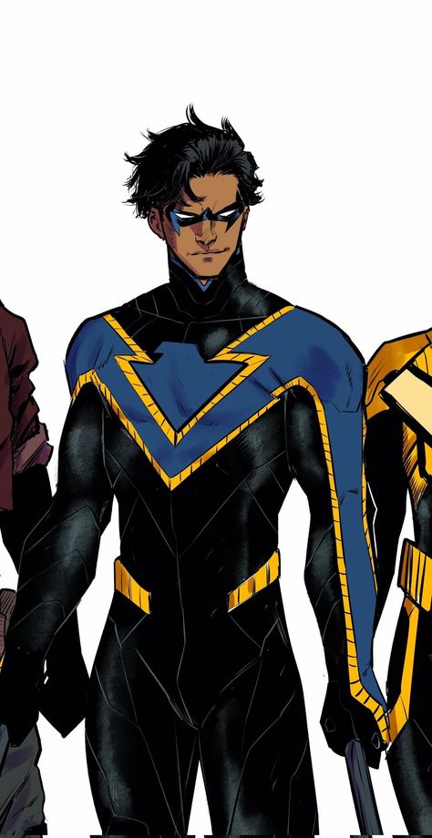 Nightwing Outfit, Nightwing Art, Robin Batman, Batman Redesign, Robin The Boy Wonder, Batman Concept, Robin Dc, Super Hero Outfits, Batman Funny