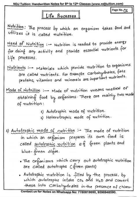 Life Processes Handwritten Notes for Class 10th Notes Class 10 Biology, Class 10 Life Processes Mind Map, Class 10 Science Notes Ssc, Biology Notes Life Processes, Class 10 Biology Notes Chapter 1, Icse Class 10 Biology Notes, Grade 8 Science Notes 1st Quarter, Life Processes Class 10 Mind Map, Chemistry In Everyday Life Notes