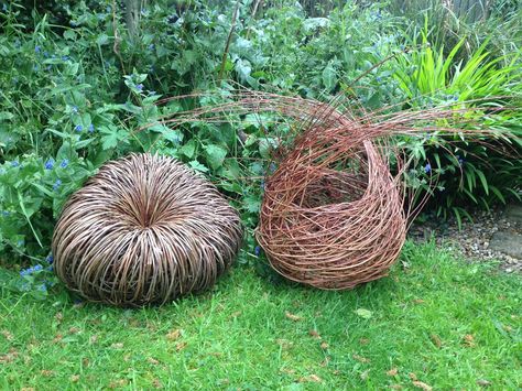 Baskets made using my random weave technique Vine Sculpture, Willow Sculpture, Contemporary Baskets, Basket Weaving Diy, Sculpture Gallery, Basket Weaving Patterns, Willow Weaving, High Schools, Art Courses