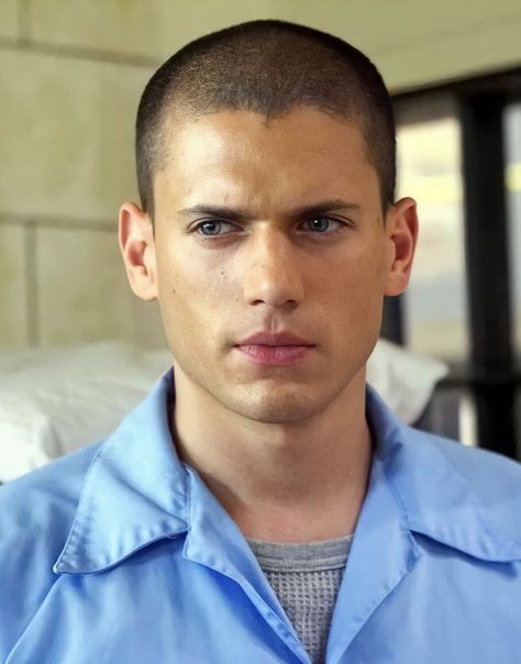 Prison Break 3, Michael Schofield, Wentworth Miller Prison Break, Leonard Snart, Sarah Wayne Callies, Michael Scofield, Dominic Purcell, Wentworth Miller, Estilo Taylor Swift