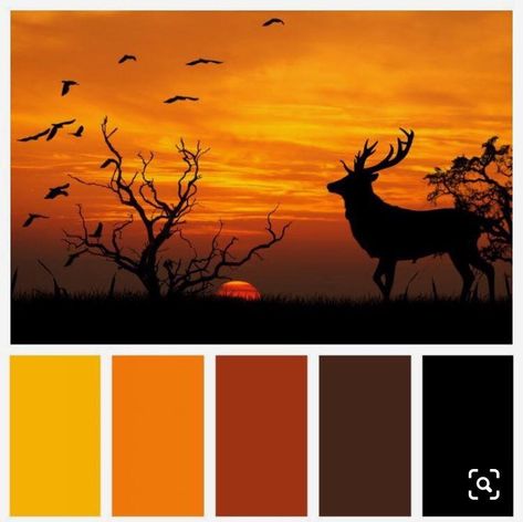 Colours Palette, Color Palette Interior Design, African Inspired Decor, African Colors, Color Mixing Chart, Color Schemes Colour Palettes, 강아지 그림, Paint Color Palettes, Palette Color