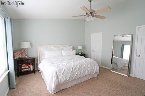 Bedroom Wall Color, Sherwin Williams Sea Salt, Sea Salt Paint, Bedroom Neutral, Bedroom Paint Colors Master, Sea Salt Sherwin Williams, Painted Furniture Colors, Neutral Bedrooms, Bedroom Wall Colors