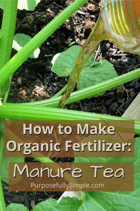 Are you wondering how to make organic fertilizer to feed your garden this summer? This manure tea recipe is an easy and inexpensive way to do it. Compost Tea Recipe, Manure Tea, Organic Insecticide, Hydroponics Diy, Hydroponic Farming, Organic Pesticide, Compost Tea, Hydroponic Growing, Garden Fertilizer