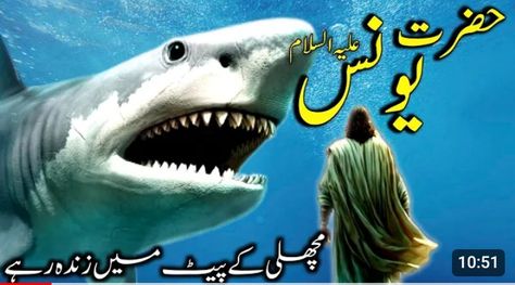 Story In Urdu, Dua Islamic, Anime Muslim, Christmas Scenes, Iraq, The Voice, Bible, Fish