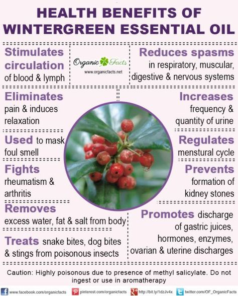 Health benefits of wintergreen essential oil can be attributed to its properties as an analgesic, anodyne, antirheumatic, antiarthritic, antispasmodic, antiseptic, aromatic, astringent, carminative, diuretic, emenagogue and stimulating substance Wintergreen Essential Oil, Calendula Benefits, Fruit Health Benefits, Doterra Business, Essential Oils For Pain, Matcha Benefits, Lemon Benefits, Coconut Health Benefits, Aroma Therapy