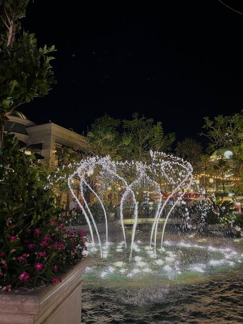 the grove, los angeles, plants Los Angeles Hike Aesthetic, Night Life Los Angeles, Los Angeles Scenery, The Grove Los Angeles, Los Angeles Night Life Aesthetic, The Grove, Summer Holiday, Prague, Outdoor Decor