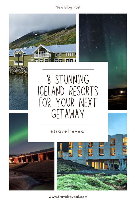 Looking for a travel destination unlike any other? ✨ Iceland boasts stunning landscapes, geothermal wonders, and the chance to witness the Northern Lights. These luxurious resorts offer the perfect basecamp for exploring the wonders of Iceland. #iceland #travel #luxury #adventure #northernlights Iceland Resorts, Travel Luxury, Bucket List Destinations, The Northern Lights, Iceland Travel, Iceland, Travel Destinations, Northern Lights, Natural Beauty