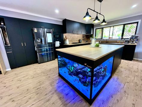 Kitchen reno with marine aquarium built into the kitchen island. Aquarium Kitchen Island, Aquarium Kitchen, Marine Aquarium, Kitchen Reno, Reno, The Kitchen, Kitchen Island, Dream House, Living Room