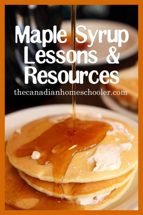 maple syrup lessons and resources Eggless Pancake Recipe, Pancakes Low Carb, Basic Pancake Recipe, Homemade Maple Syrup, Basic Pancakes, Homemade Pancake Mix, Stack Of Pancakes, Egg Allergy, Low Carb Pancakes