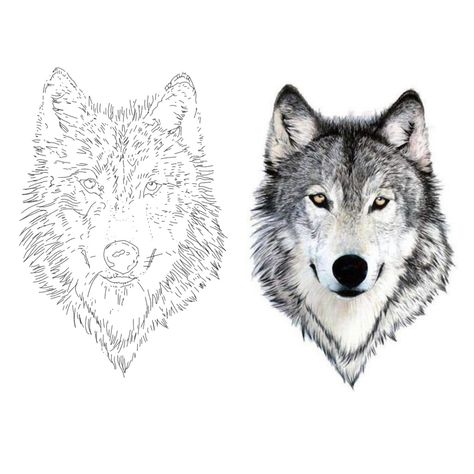 Realistic Wolf Tattoo Stencil, Tattoo Shablon, Wolf Head Tattoo Stencil, Wolf Tattoo Stencil Design, Wolf Tattoo Design Men, Wolf Face Tattoo Design, Lion Head Tattoo Stencil, Wolf Head Outline, Wolf Head Tattoo Design