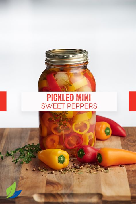 Pickled Mini Sweet Peppers, Pickling Peppers, Pickling Veggies, Salsa Pizza, Pickled Sweet Peppers, Pickled Pepper Recipe, Tacos Pizza, Canning Peppers, Pepper Rings