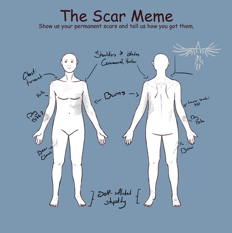 Scar map. Ghost Oc, Meme Show, Show Us, Ghost, Humanoid Sketch, Map, Memes, Quick Saves