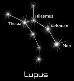 SPRING lupus Astronomy Terms, Astrology Meaning, Haiku Poems, Constellation Tattoo, Element Symbols, Constellation Tattoos, Star Constellations, Wolf Tattoos, Tattoo Meaning