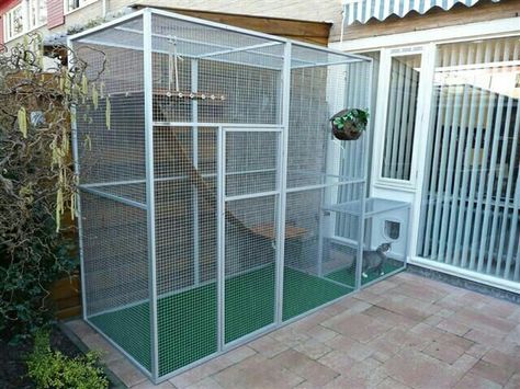 Iguana enclosure Cat Play Area, Diy Cat Enclosure, Diy Chat, Cat Enclosures, Cat Fence, Cat Patio, Outdoor Cat Enclosure, Cat Run, Outdoor Cat House