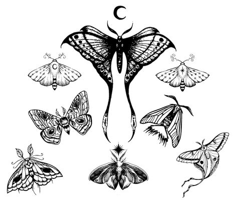 Moth Clipart, Lunar Moth Tattoo, Moth Drawing, Lunar Moth, Moon Moth, Cute Little Tattoos, Moth Tattoo, Luna Moth, Dainty Tattoos