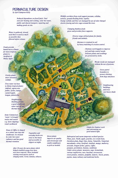 Food Forest Garden, Farm Layout, Permaculture Gardening, Permaculture Design, Aquaponics System, Food Forest, Farm Design, Organic Gardening Tips, Earthship