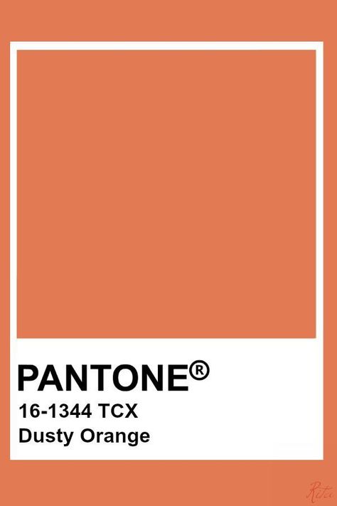 Pantone Tcx Orange, Dusty Orange Color Palette, Orange Color Pantone, Dusty Orange Aesthetic, Orange Pantone, Pantone Orange, Sienna Orange, Pantone Tcx, Pantone Color Chart