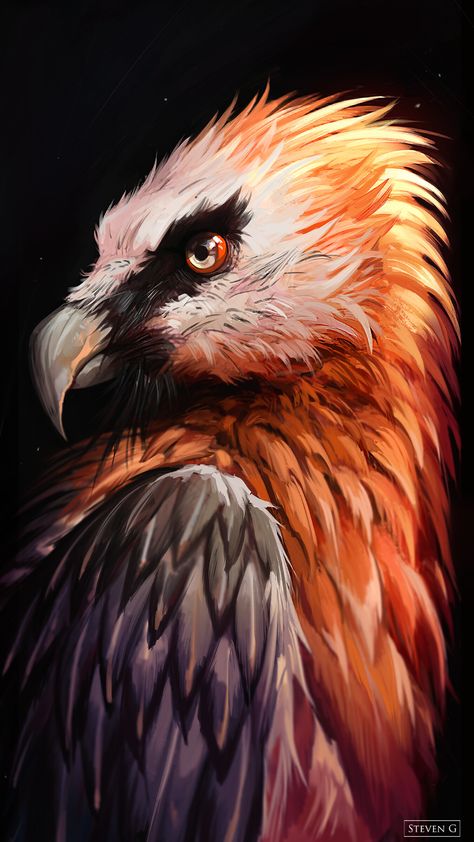 Bearded Vulture, Loki Art, Work Art, Creature Drawings, Barn Owl, Creature Concept, Art Reference Photos, Bird Art, Beautiful Photography