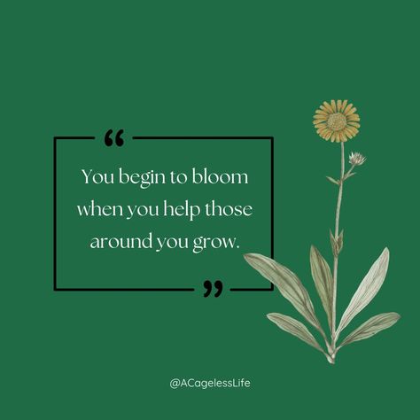 🌸 "You begin to bloom when you help those around you grow." 🌸 Ever notice how amazing it feels to lift others up? When you help those around you find their way, you end up growing and glowing too. It’s like magic—when you share your support and encouragement, not only do you make a difference in their lives, but you also start to bloom yourself. So today, let’s spread some kindness and watch how it comes back to us in the most beautiful ways. What’s one thing you can do to brighten someone’s ... Growing And Glowing, You Make A Difference, Make A Difference, You Can Do, Most Beautiful, Encouragement, Things To Come, Let It Be, Feelings