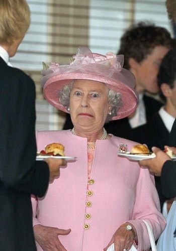 When I don't like what was catered that day Queen Elizabeth Memes, Ratu Elizabeth, Princ Harry, Rainha Elizabeth Ii, Reine Elizabeth, Elisabeth Ii, Queen Pictures, Tilda Swinton, Isabel Ii