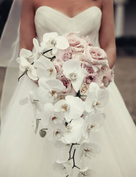 orchid wedding boquet | ... You Like for Wedding Bouquet | Bridal Custom Wedding Gowns Online Orchids Wedding, Orchid Bouquet Wedding, Orchid Bouquet, Wedding Bouquets Pink, Orchid Wedding, Cascade Bouquet, Bridal Musings, September 16, Country Club Wedding