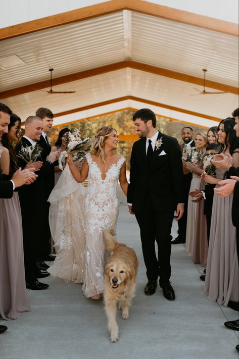 Dog In Wedding Ceremony, Wedding Dog Photography, Bride And Groom With Dog, Bride And Dog Wedding Photos, Wedding Photo Ideas With Dogs, Wedding Pictures With Dogs, Wedding Photos With Dogs, Golden Retriever Ring Bearer, Dogs At Weddings Ideas