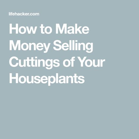 How to Make Money Selling Cuttings of Your Houseplants Selling Plants From Home, Farm Market Ideas, Plant Parenthood, Plant Hacks, Market Ideas, Flower Business, Farm Market, Plant Cuttings, Green House