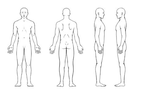 Body Chart, S Tattoos, Body Diagram, Body Outline, Human Body Drawing, Body Template, Human Body Anatomy, Body Map, February Nails