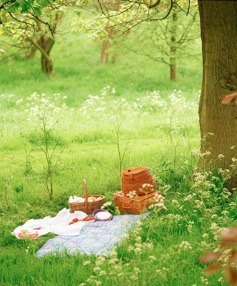 perfect Picnic In The Woods, Romantic Picnics, Perfect Picnic, Picnic Time, Beltane, Picnic Party, A Picnic, The Meadows, Perfect World