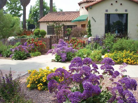 See examples and guidelines for drought tolerant landscaping. Drought Tolerant Landscape Front Yard, Drought Resistant Landscaping, California Plants, Drought Tolerant Garden, Drought Tolerant Landscape, California Garden, Front Yard Garden Design, Low Maintenance Landscaping, Backyard Inspo