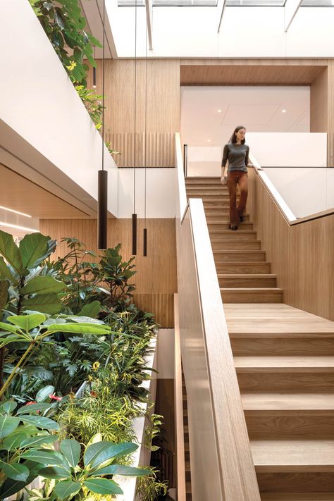 The House of Dentons Office in Amsterdam Forges a New Outlook for Law Timeless Interior, Arch Interior, Natural Palette, Interior Concept, Interior Garden, Wakefield, Dark Places, Staircase Design, Office Design