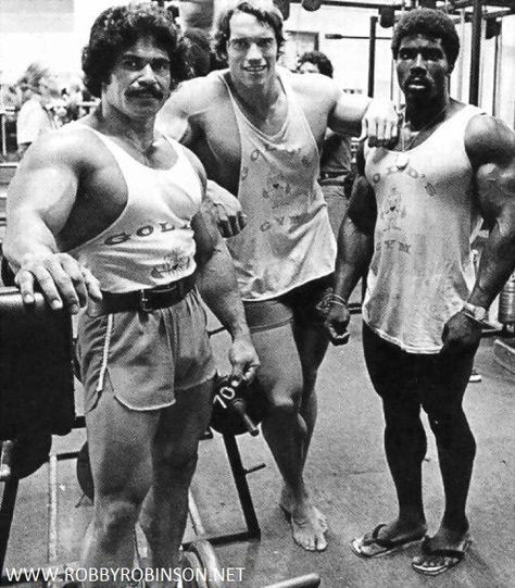 Old Bodybuilder, Arnold Schwarzenegger Bodybuilding, Best Bodybuilder, Frank Zane, Schwarzenegger Bodybuilding, Aesthetics Bodybuilding, Patrick Schwarzenegger, Bodybuilding Pictures, Pumping Iron