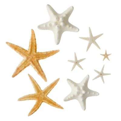 U.S. Shell Starfish Mix | Michaels Nautical Party Theme, Making Wind Chimes, Decorating Pots, Make Wind Chimes, Nautical Themed Party, Fashion Diary, Nautical Party, Floral Bowls, Painted Shells