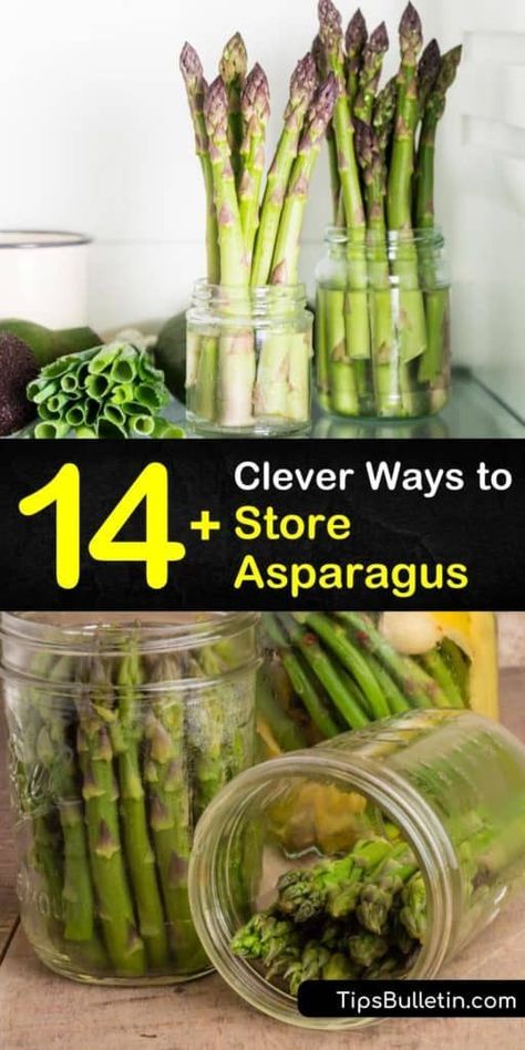 Learn how to store fresh asparagus in the crisper by wrapping the cut ends in paper towel, or refrigerate them by wrapping the bunch in a rubber band and placing the cut ends in an inch of water to prevent the veggies from getting mushy. #storing #fresh #asparagus #storage #storeasparagus How To Store Asparagus, Cook Asparagus, Asparagus Seasoning, Fresh Asparagus, Simply Recipes, How To Store, Asparagus Recipe, Fermented Foods, Vegetable Side Dishes