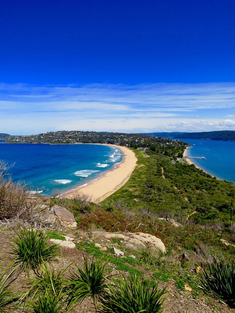 Palm Beach | NSW, Australia Palm Beach Nsw, Australian Beaches, Australian Beach, Nsw Australia, Palm Beach, Dream Life, Sydney, Australia, Architecture