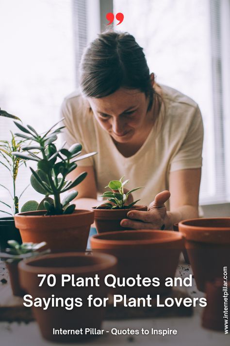 70 Plant Quotes and Sayings for Plant Lovers - quotes | inspirational quotes | motivational quotes | inspiring quotes | quotes of the day | quotes about life | life quotes | love quotes - #quotes #love #motivation #inspiration #life #quote #quoteoftheday #success #motivationalquotes #inspirationalquotes #quotestoliveby #photooftheday #happy #travel #lifestyle #positivevibes #lifequotes #instagram #poetry #follow #nature #inspiringquotes #selfimprovement Quotes On Plants Inspiration, Planting Quotes Life Inspiration, Quotes About Plants Inspiration, Plant Quotes Life Inspiration Short, Plant Lovers Quotes, Plant Quotes Life Inspiration, Plant Lady Quotes, Plant Lover Quotes, Plants Quotes Life Inspiration