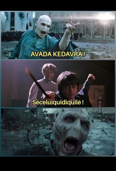 Humour Harry Potter, Humour Geek, Harry Potter Fanfiction, Funny Blogs, Geek Humor, Minions Funny, Harry Potter Funny, Harry Potter Memes, Really Funny Memes