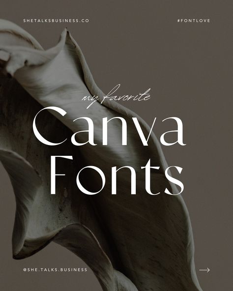 What’s your favorite Canva font? Let me know below! 🖤  X Lynn  PS. some of these fonts are part of Canva’s Pro plan. Comment ’30’ below for a 30-day free Canva pro trial! #canva #canvaverifiedexpert #canvaexpert #canvatemplates #canvafonts #freefont #typelover #fontlove #canvatip #canvatipsandtricks #canvahacks #brandingdesign #smallbusinessowner Fuentes Canva, Free Canva Pro, Canva Font, Pro Plan, 1001 Fonts, Best Free Fonts, Canva Pro, Canva Design, Visual Content