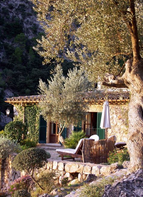 Casa Country, Subscribe My Youtube Channel, Mediterranean Garden, Olive Trees, Mediterranean Homes, Island Home, Stone Houses, Stone House, Dream Home Design