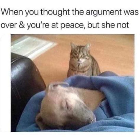 32 Relationship Memes That Are Far Too Relatable - Funny Gallery Memes Amor, Funny Quotes For Teens, Humor Grafico, Funny Cat Memes, Relationship Memes, Funny Cat Pictures, Love Memes, Funny Relationship, Saitama