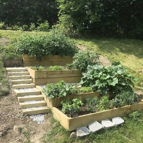 Hill-side Raised Beds and stairs - RYOBI Nation Projects Tiered Planter Boxes On Hill, Raised Beds On A Hill, Raised Bed On Hill, Raised Beds On A Slope, Hill Side Garden, Raised Garden Beds On A Slope, Garden With Stairs, Garden On Hill, Garden Bed From Pallets