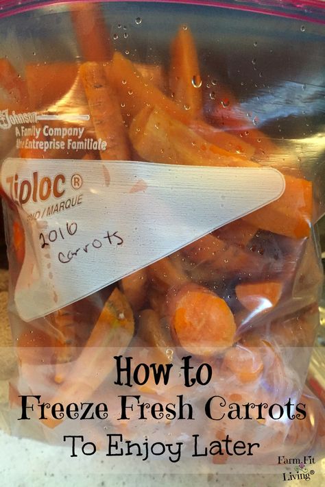 Freeze Fresh Carrots Preserving Carrots, How To Freeze Carrots, Freezing Carrots, Freezing Food Guide, Freezing Veggies, Preserving Vegetables, Freezing Vegetables, Freezing Fruit, Fresh Carrots