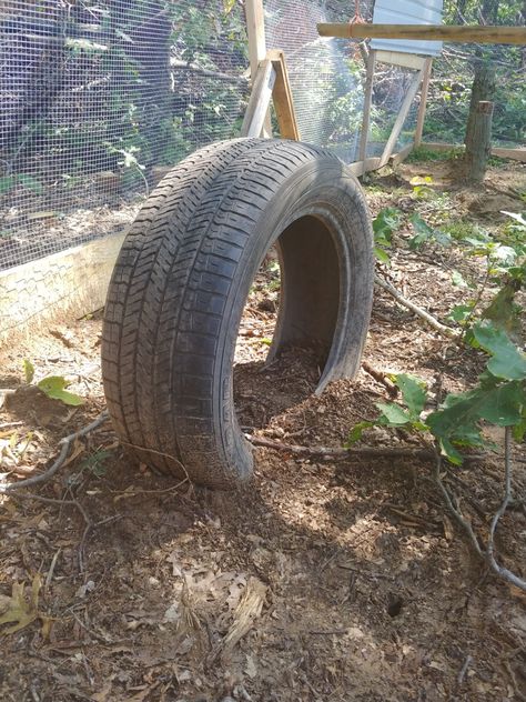 Chicken Tire Toy, Tires Chicken Coop, Chicken Coop Tires, Tires In Chicken Coop, Tire Chicken Coop, Chicken Tires, Chicken Run Playground Ideas, Chicken Coop Tire Ideas, Tires For Chicken Coop