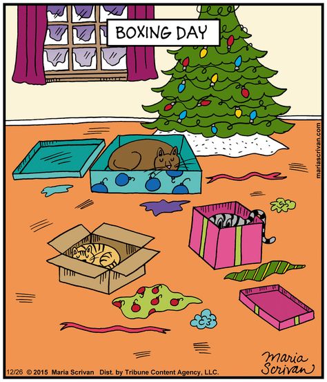 Cartoon Christmas Cards, Xmas Gif, Christmas Comics, Christmas Jokes, Cat Comics, Gorgeous Cats, December 26th, Christmas Advent Calendar, Boxing Day